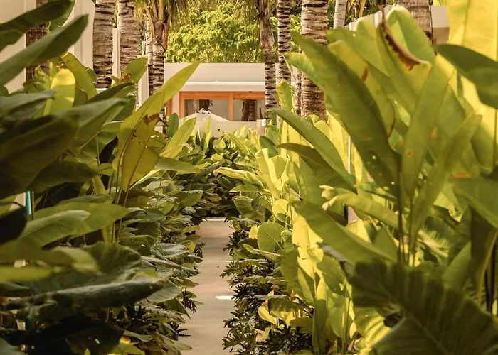 Coz Bali Boutique Walking Distance To Padang Padang Villa