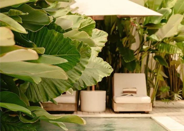 Coz Bali Boutique Walking Distance To Padang Padang Villa